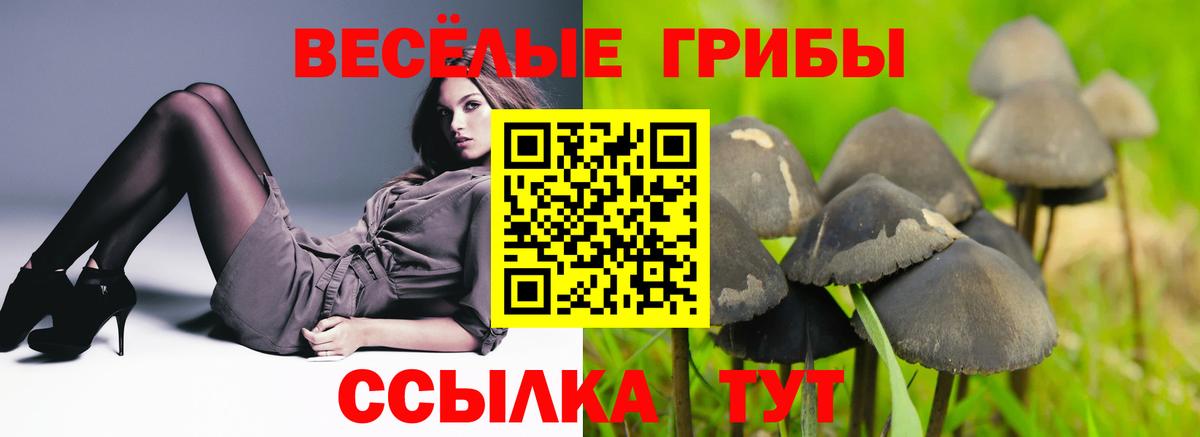 Галлюциногенные грибы ЛСД  Вход с VPN  Феодосия 